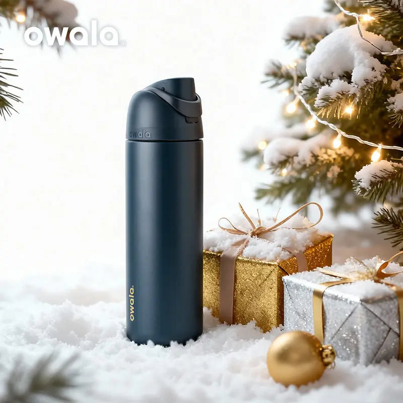 FreeSip 24oz Insulated Stainless Steel Water Bottle with Straw , BPA-Free Sports Water Bottle, Great for Travel, 710ml