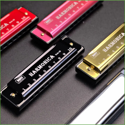 Harmonica Key of C 10 Hole Diatonic Harmonica C with Case for Beginner Students Kids Gift with Case