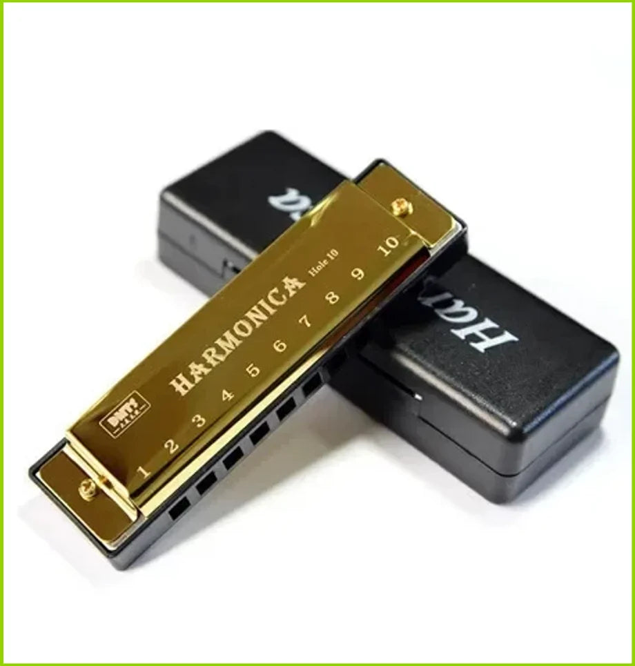 Harmonica Key of C 10 Hole Diatonic Harmonica C with Case for Beginner Students Kids Gift with Case