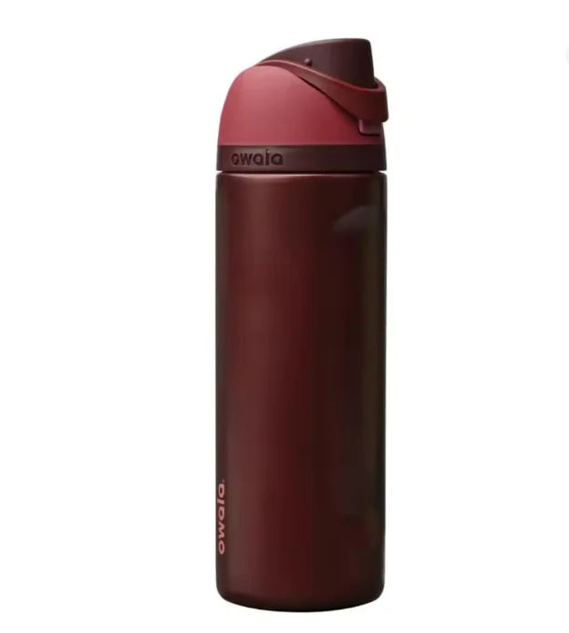 FreeSip 24oz Insulated Stainless Steel Water Bottle with Straw , BPA-Free Sports Water Bottle, Great for Travel, 710ml