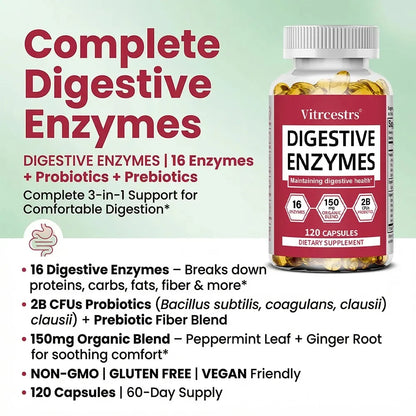 Digestive Enzyme Supplement Capsules – Promote Digestive Health, Support Gut Health, Suitable for Both Men and Women