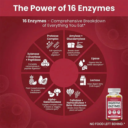 Digestive Enzyme Supplement Capsules – Promote Digestive Health, Support Gut Health, Suitable for Both Men and Women